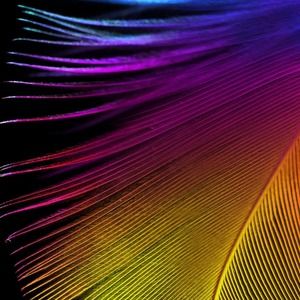 Meet your Posher, Frederick